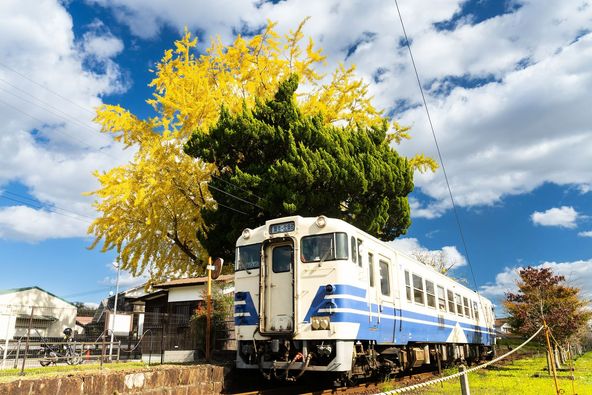 車両情報 キハ40 535号