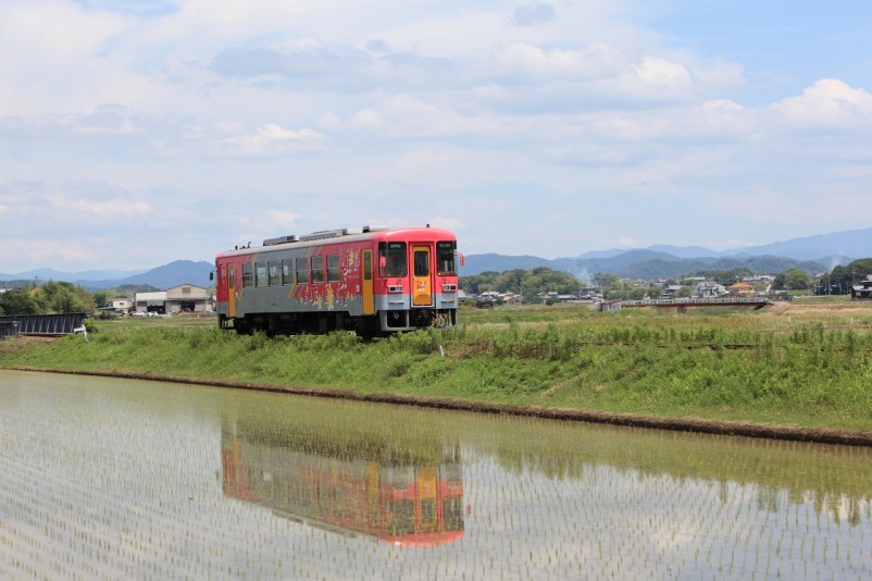 夏の列車