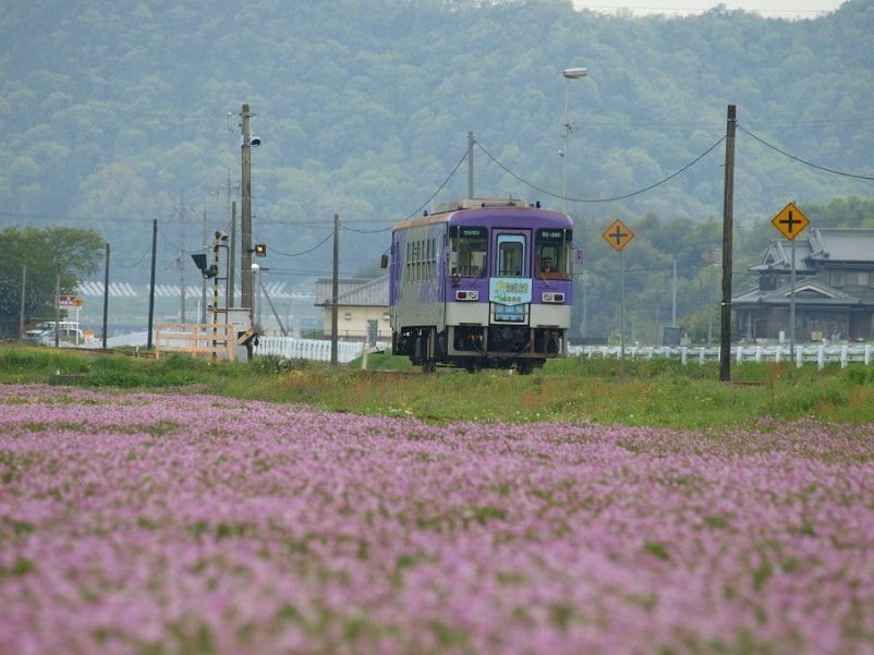 列車