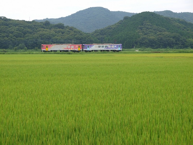 夏の列車