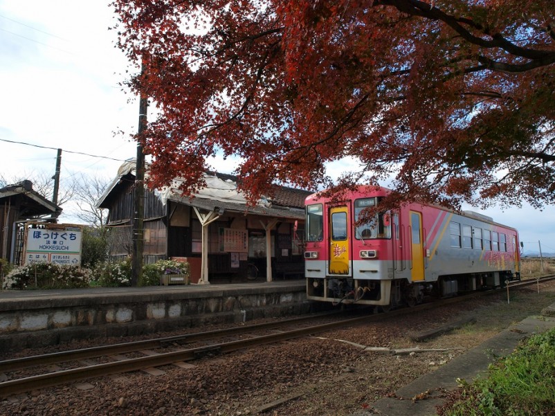 もみじと列車