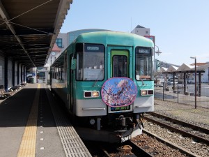 sakura1