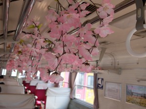 sakura2