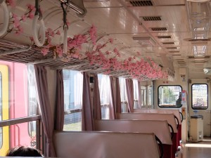 sakura4